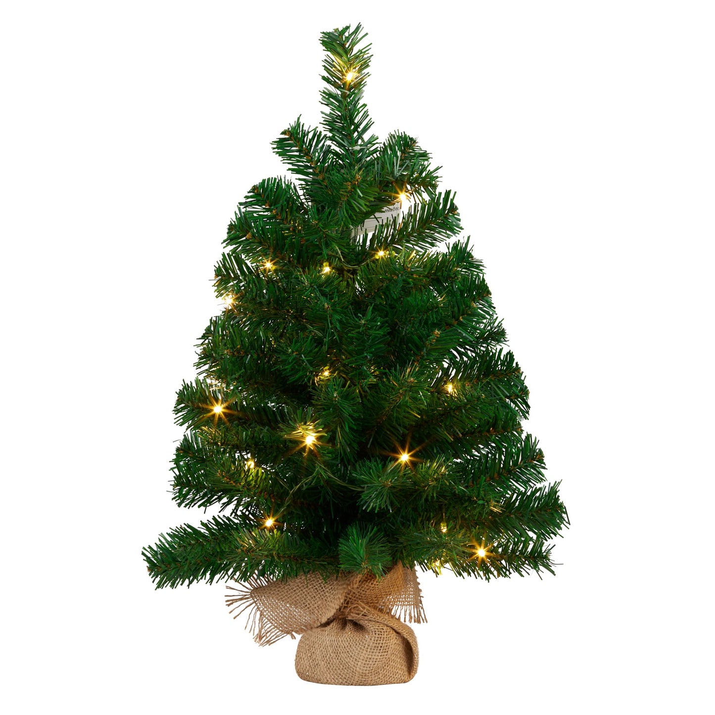 Christmas Tree with Lights Chadwick Green