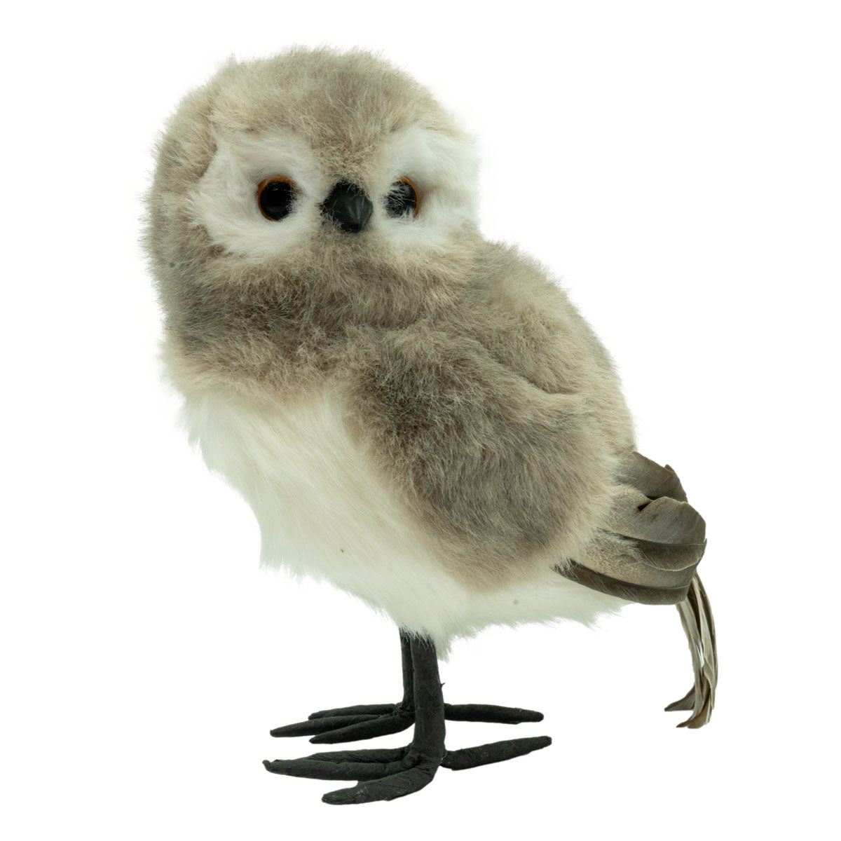 Grey Owl Right