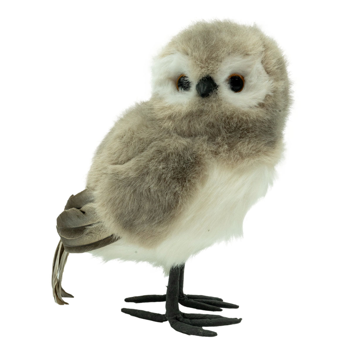 Grey Owl Left