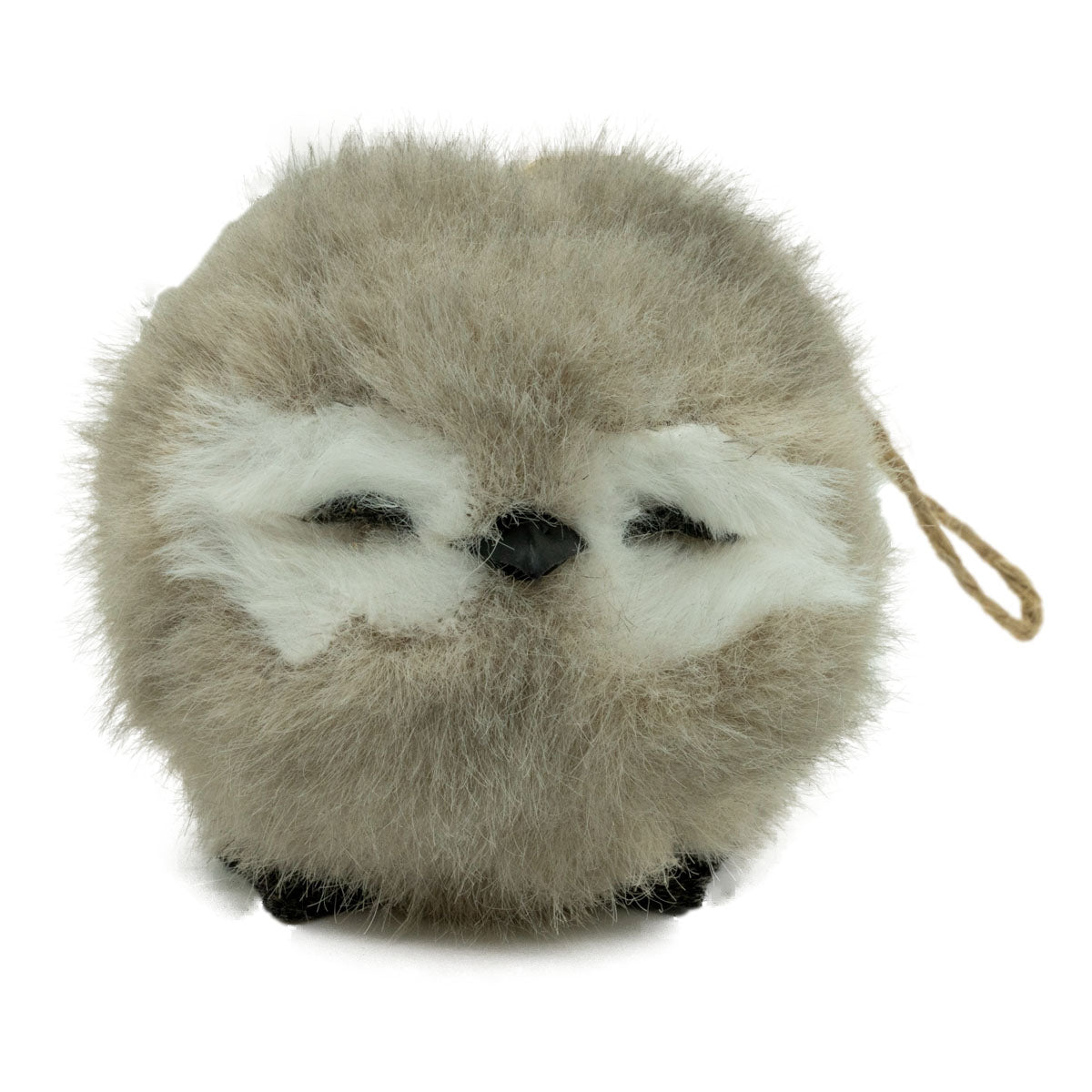 Grey Sleeping Owl