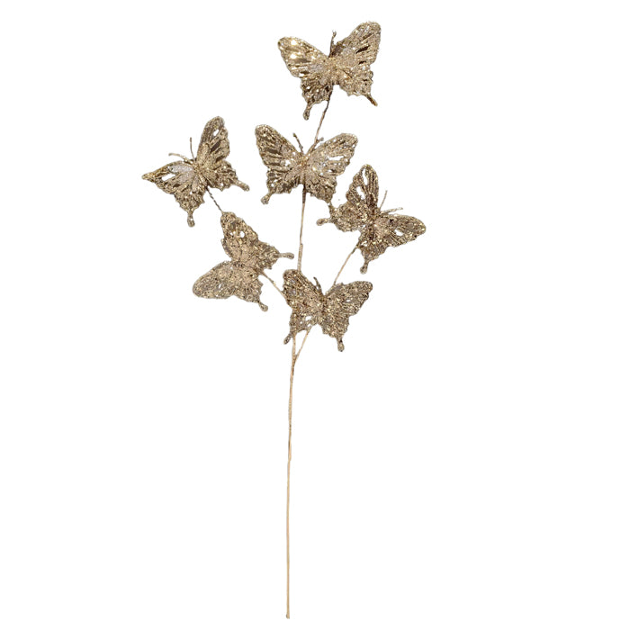 Butterfly Spray Champagne