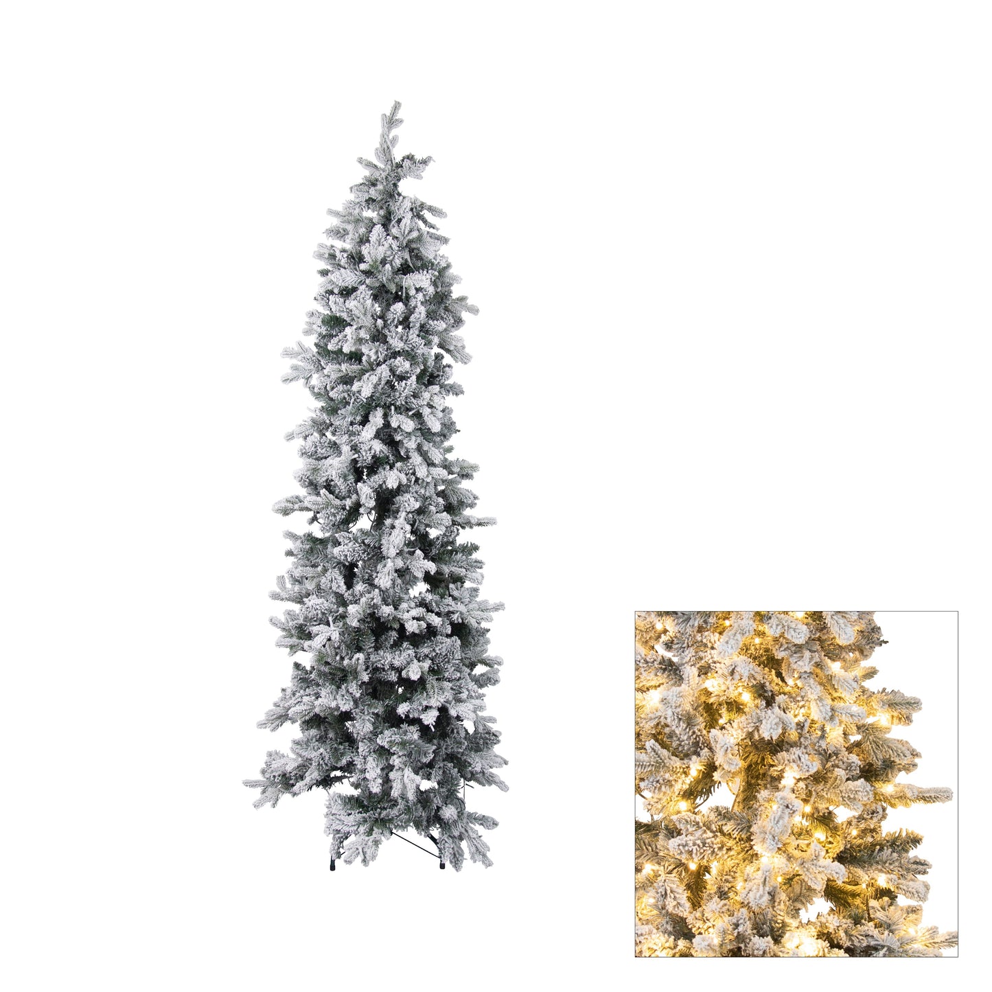 Perisher Pencil Pine 1.8