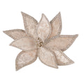 Poinsettia Champagne Braid Edge