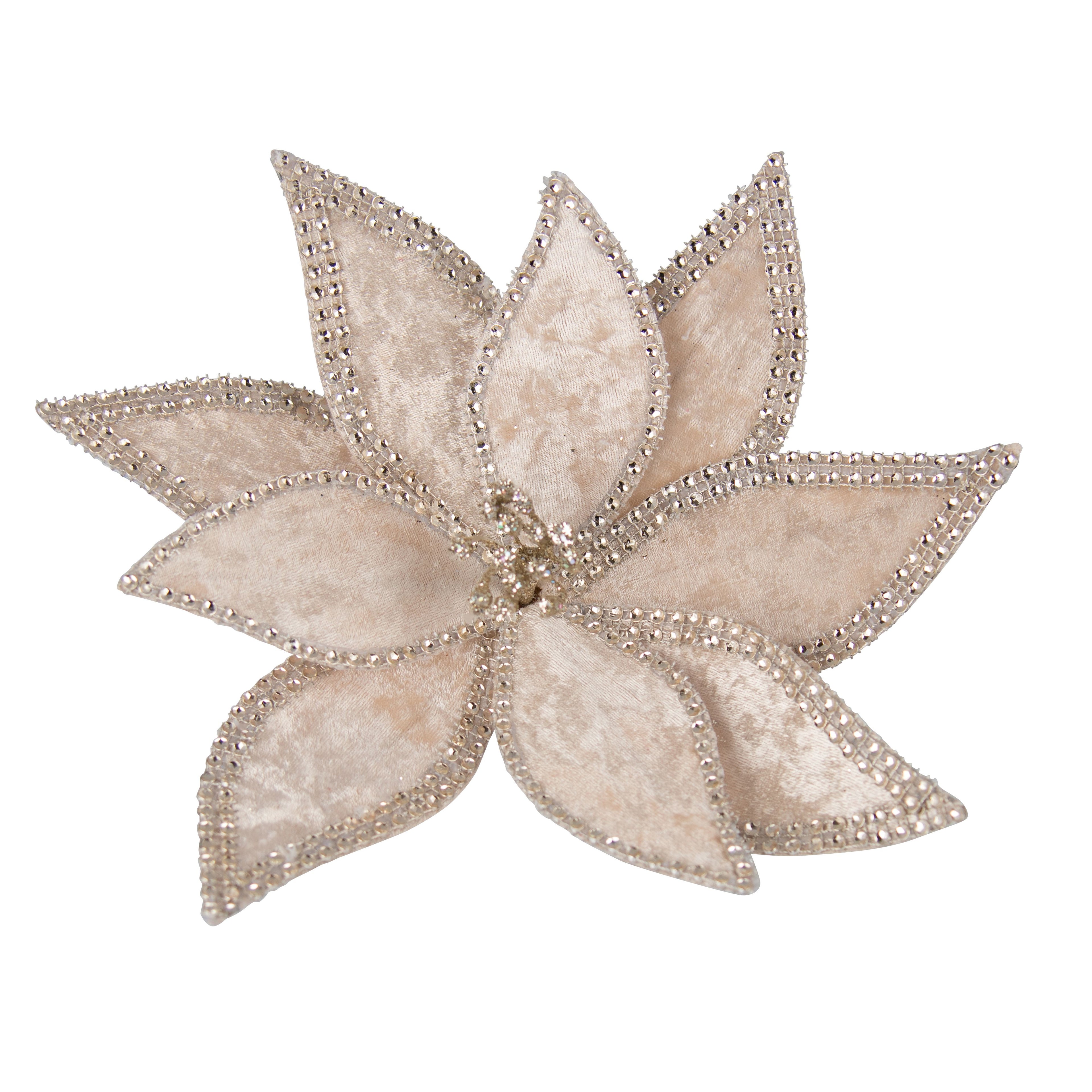 Poinsettia Champagne Braid Edge
