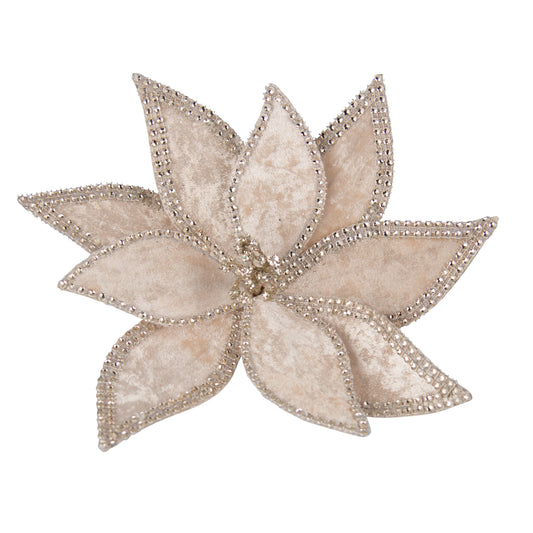 Poinsettia Champagne Braid Edge