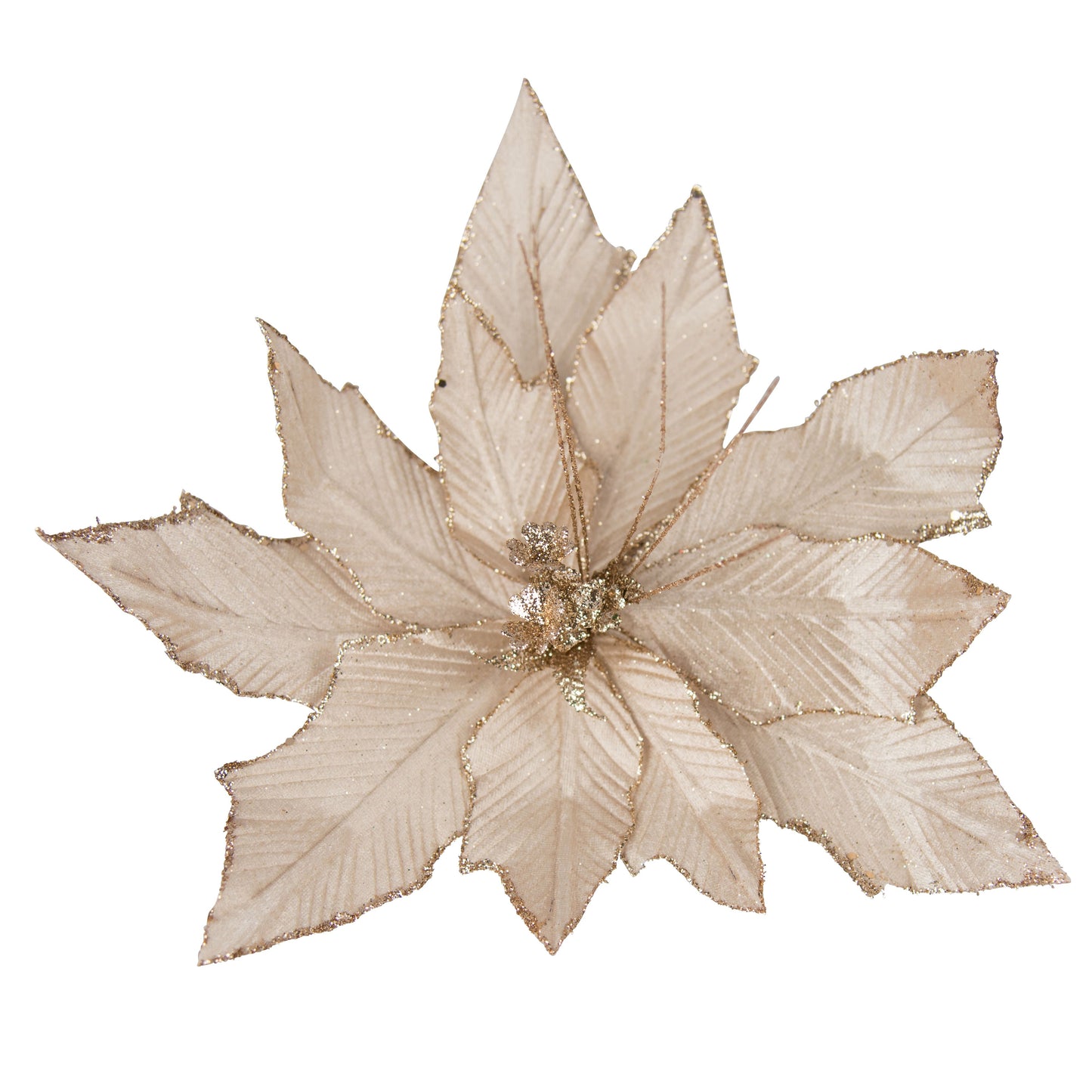 Shiny Champagne Poinsettia 11