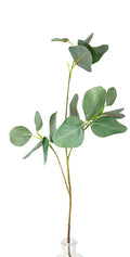 Kora Eucalyptus Spray 1