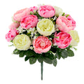 Prudence Poly Pink White Peony Bush