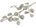Champagne Gum Leaf Spray