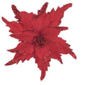 Red Poinsettia 2
