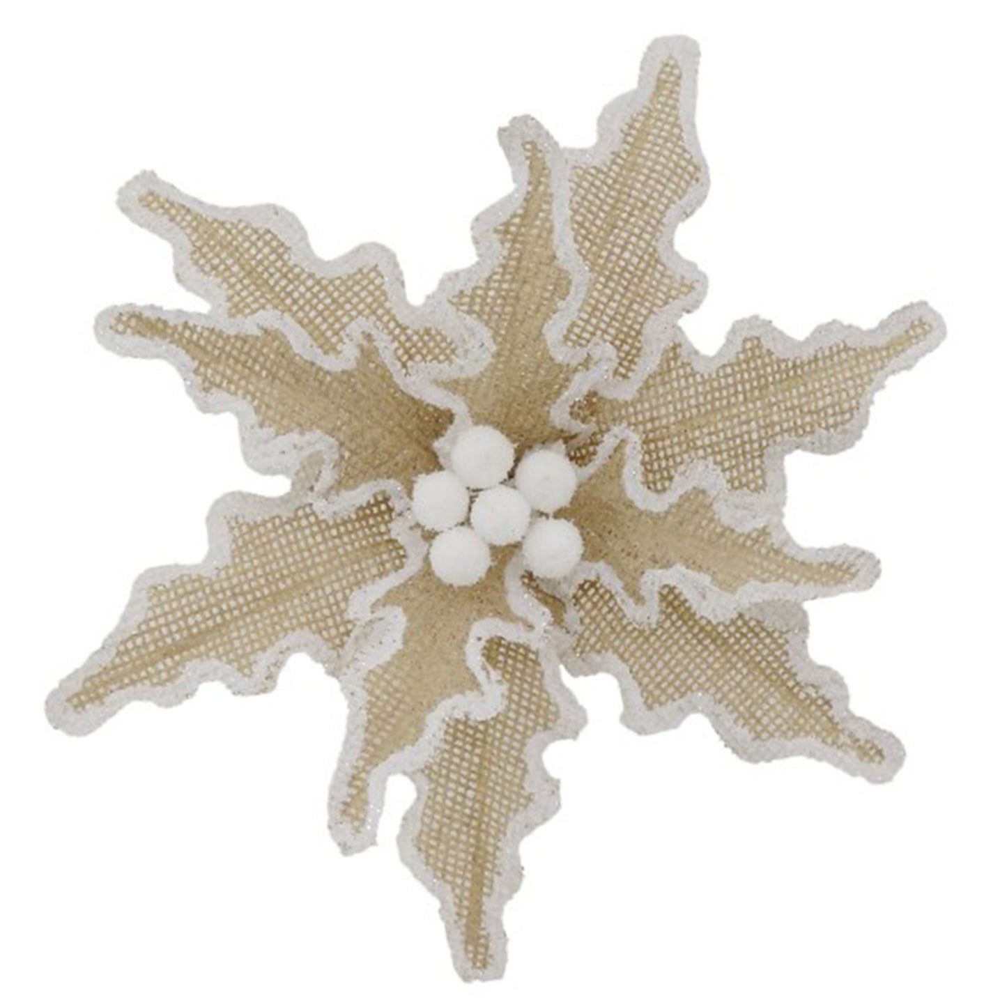 Natural White Edge Poinsettia
