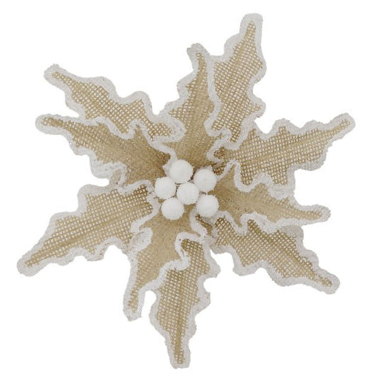 Natural White Edge Poinsettia