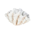 Ulla Resin Clamshell