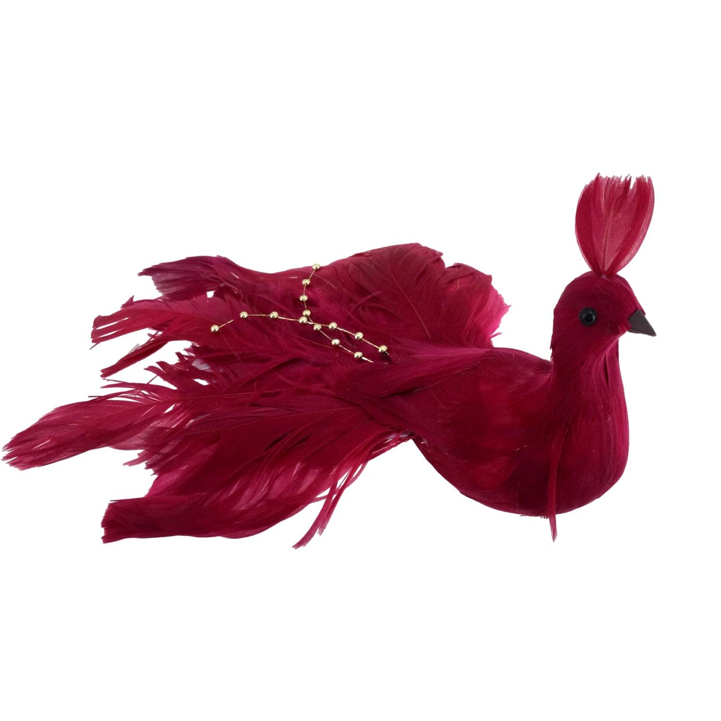 Cranberry Red Peacock