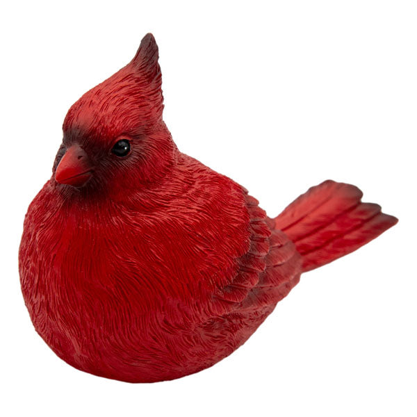 Red Cardinal 15.8cm