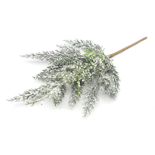 Green Ceder Spray