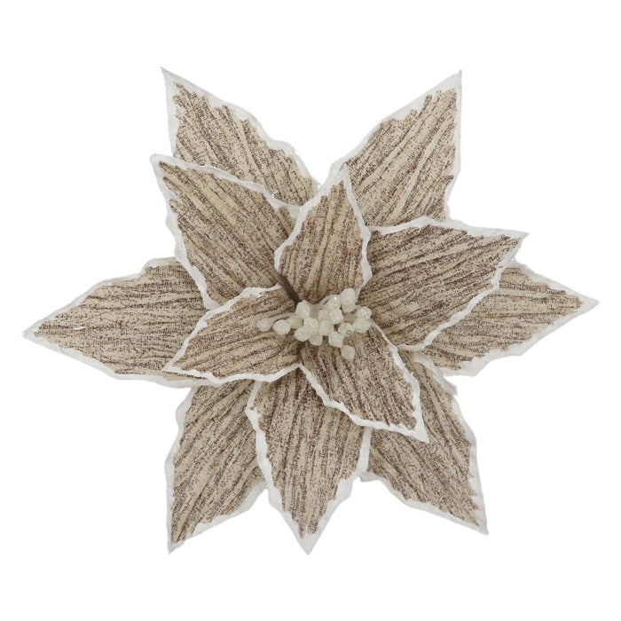 Poinsettia Natural White Edge