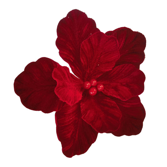 Magnolia Red with Red Berry