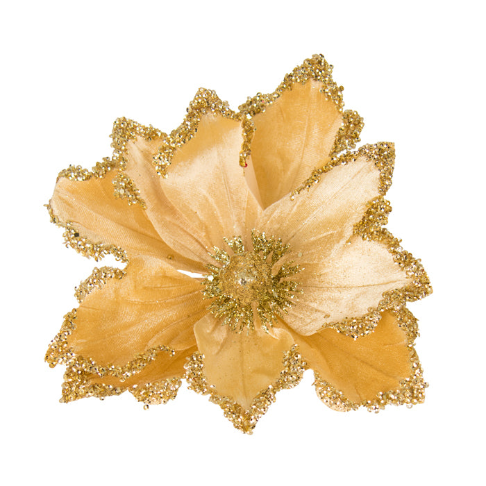 Amber Gold Edge Magnolia Clip on