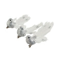 Bird Silver Jewel Tail