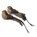Clip on Bird Natural Copper