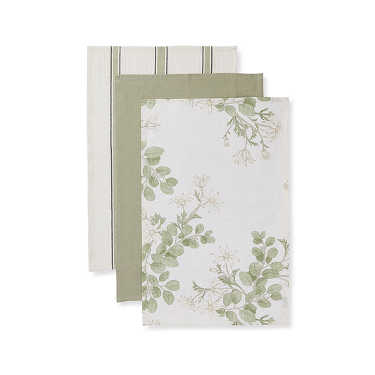 Flannel Flower Tea Towel Pack 3