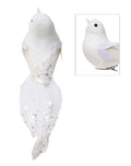 Bird Abby White