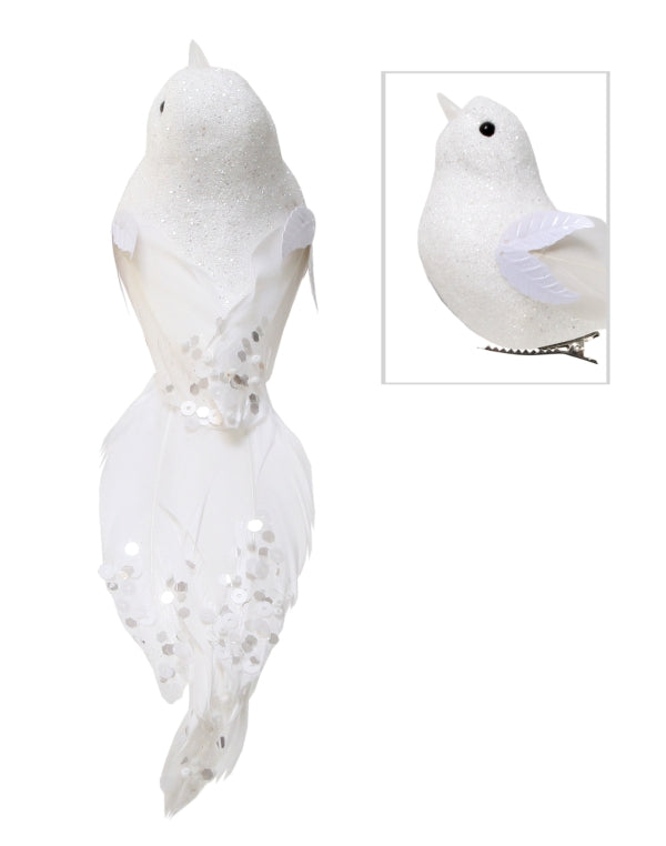 Bird Abby White