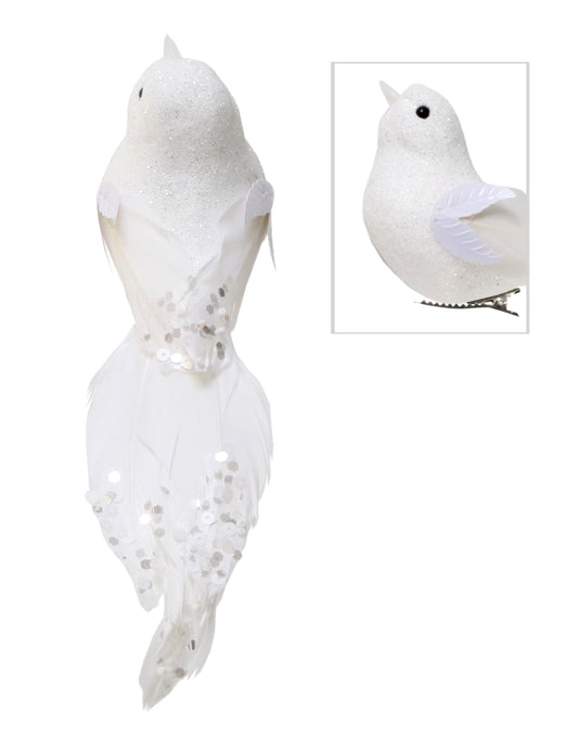 Bird Abby White