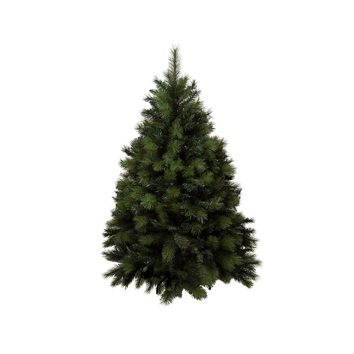 Harriet Green Needle Pine Tree