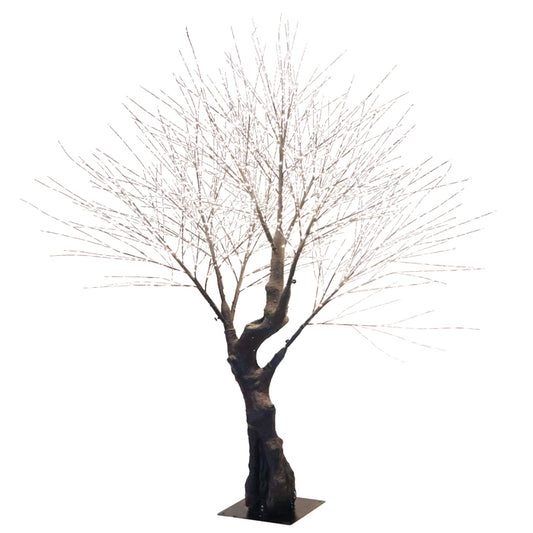 Oakland 200cm Outdoor Tree