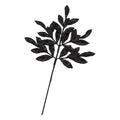 Black Leaf Spray