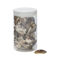 Scallop Seashells 400g