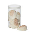 Cockle Seashells 500g
