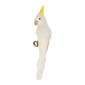 Bert the Cockatoo