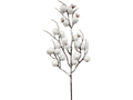 Berry Pick White