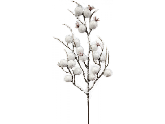 Berry Pick White