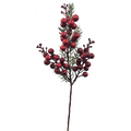 Berry Pick