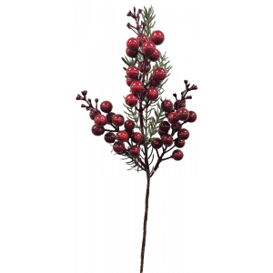 Berry Pick