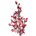 Berry Spray No 2 62cm