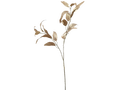 Willow Eucalyptus Spray