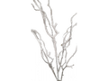 Twig with Snow