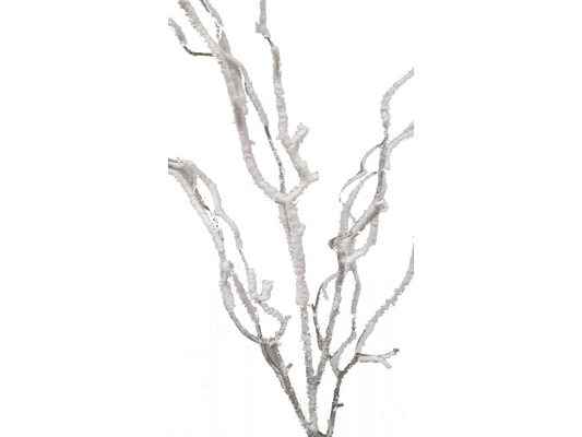 Twig with Snow