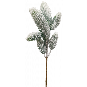 Pine Spray