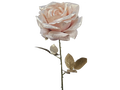 Venus Rose