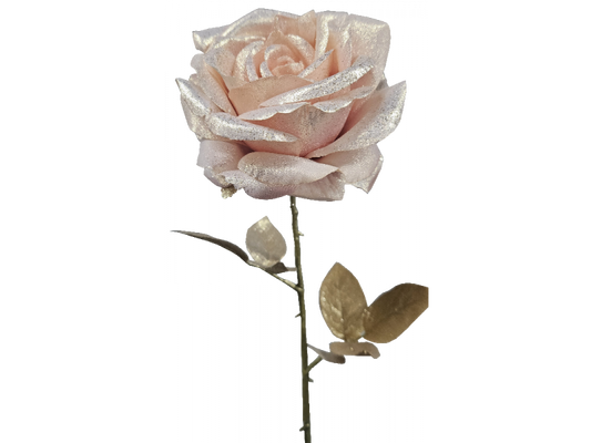 Venus Rose