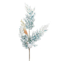 Aqua Shell Spray Coral