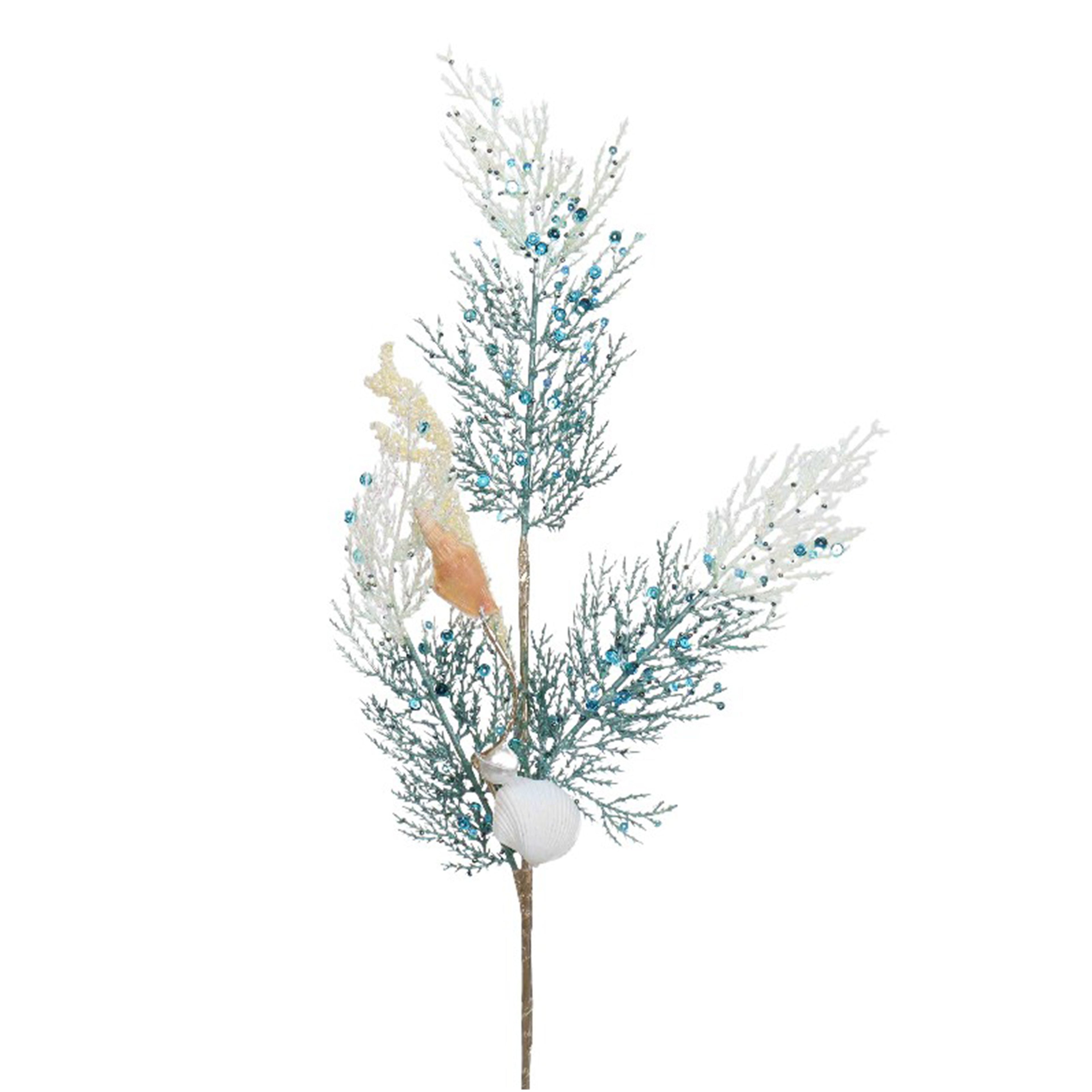 Aqua Shell Spray Coral