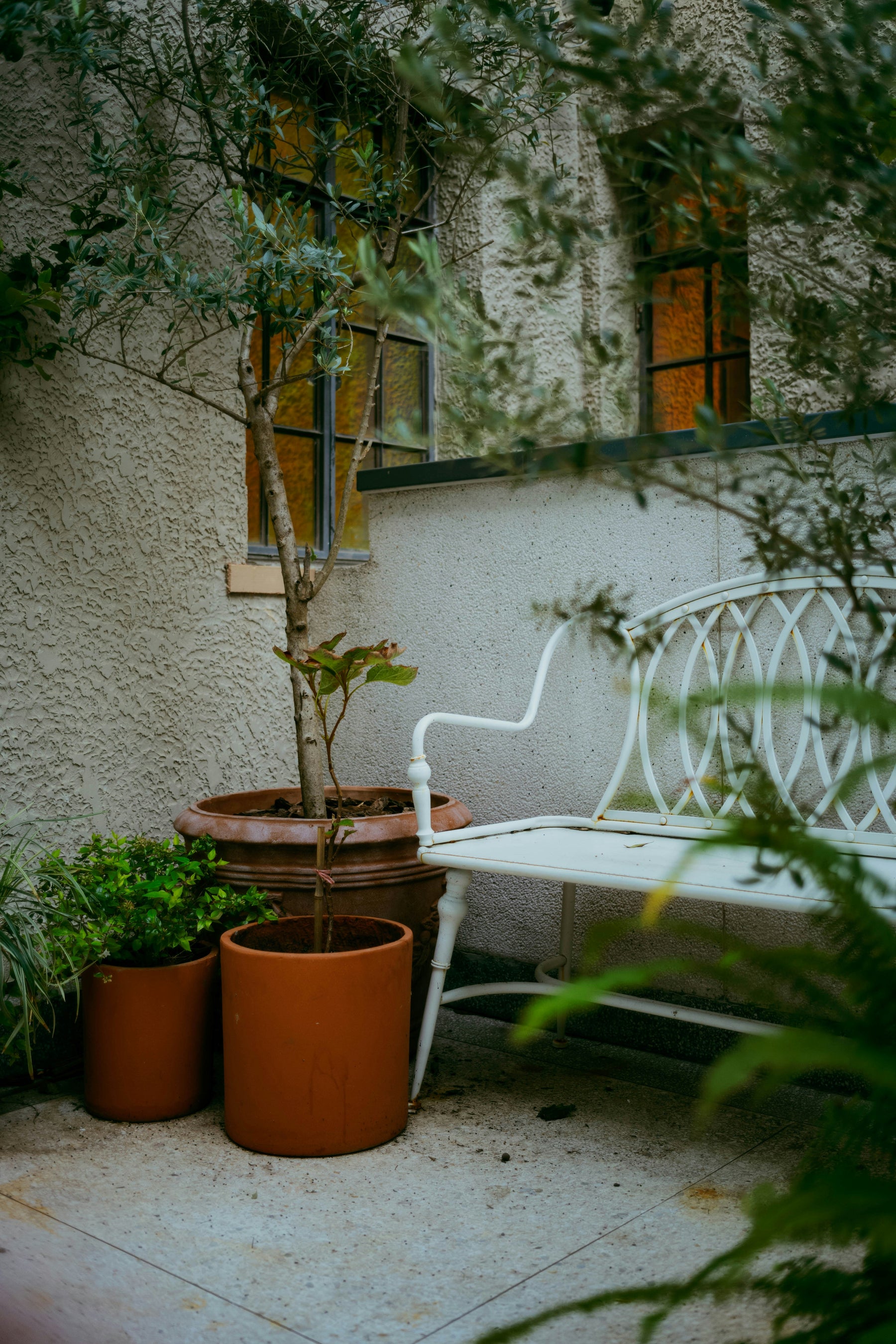 A Little Piece of Asia, In Your Home