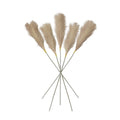 Goma Soft Feather Stem Blush